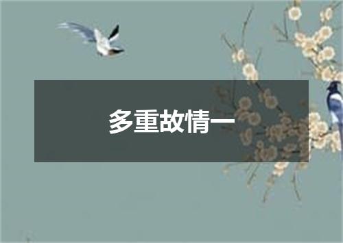 多重故情一