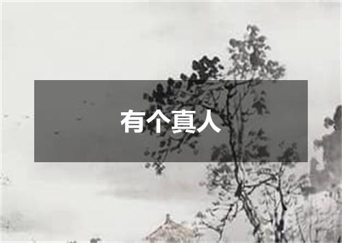 有个真人