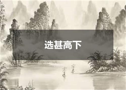 选甚高下