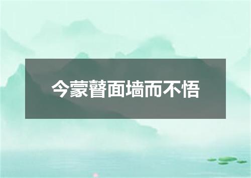 今蒙瞽面墙而不悟