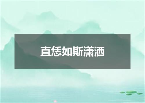 直恁如斯潇洒