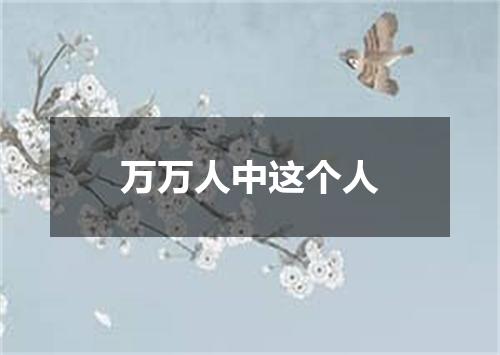 万万人中这个人