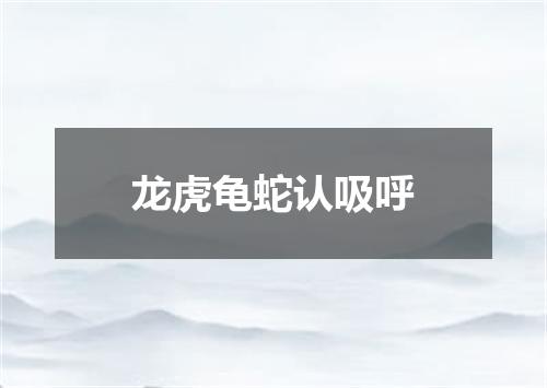 龙虎龟蛇认吸呼
