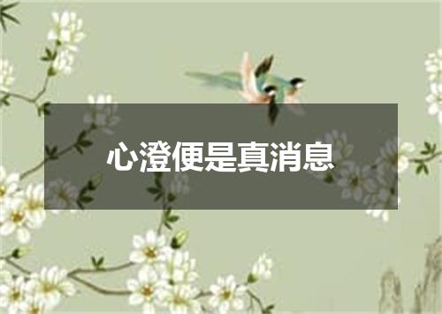 心澄便是真消息