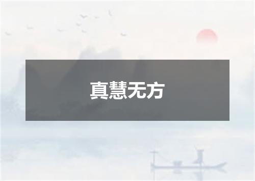 真慧无方