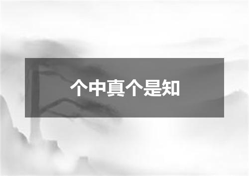 个中真个是知