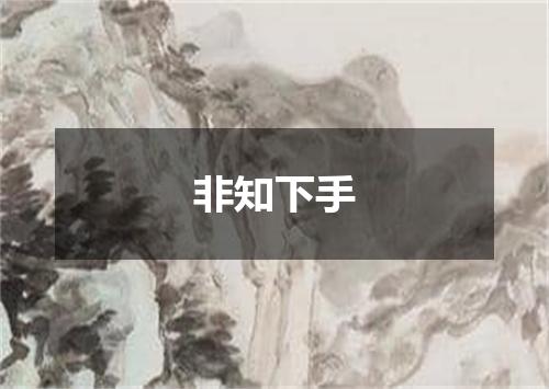 非知下手