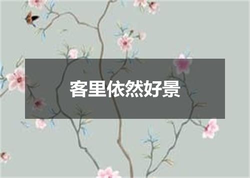 客里依然好景