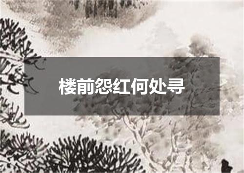 楼前怨红何处寻