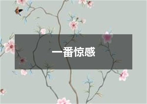 一番惊感