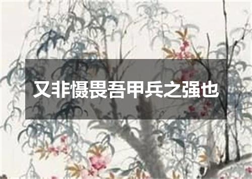 又非慑畏吾甲兵之强也