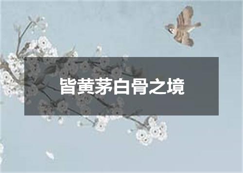 皆黄茅白骨之境