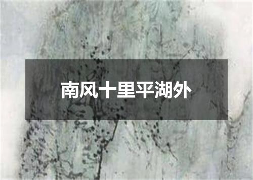 南风十里平湖外