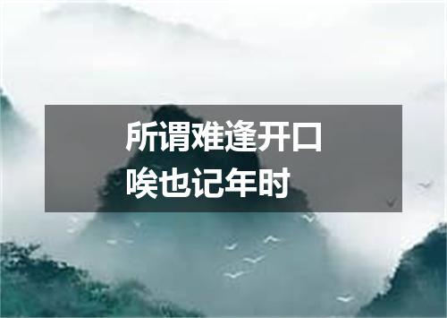 所谓难逢开口唉也记年时