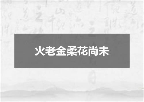 火老金柔花尚未