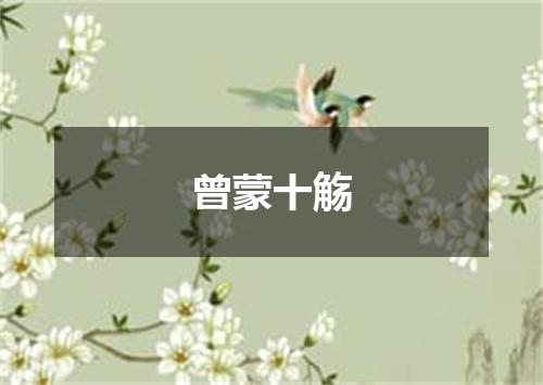 曾蒙十觞