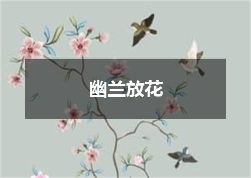 幽兰放花