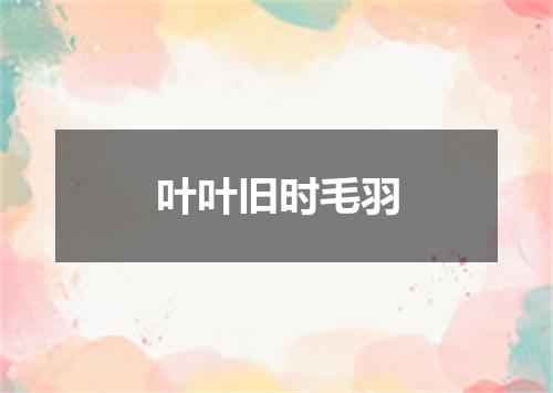 叶叶旧时毛羽