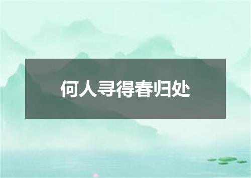 何人寻得春归处