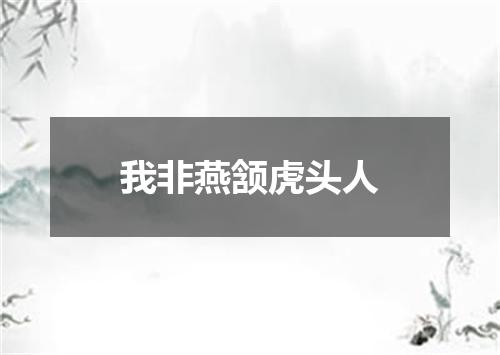 我非燕颔虎头人
