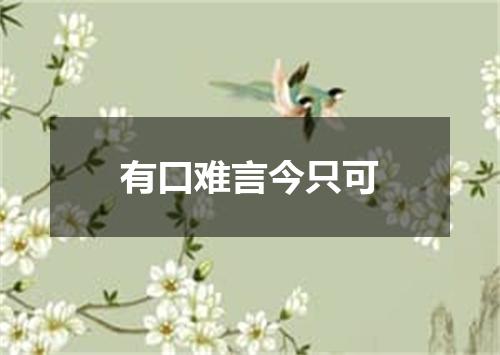 有口难言今只可
