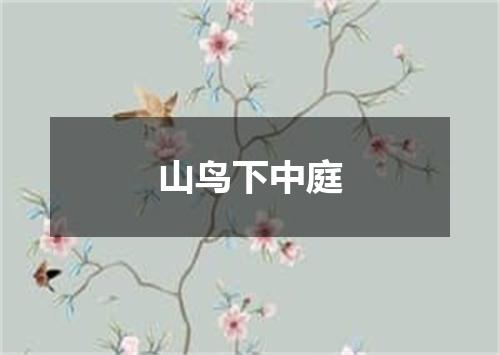 山鸟下中庭