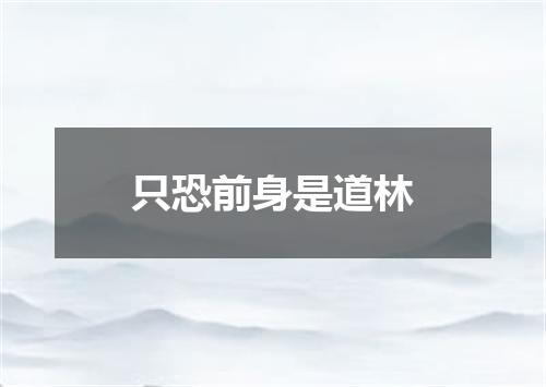 只恐前身是道林