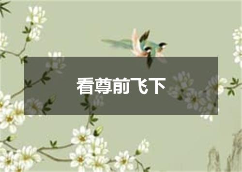 看尊前飞下