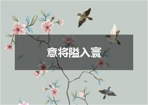 意将隘入寰