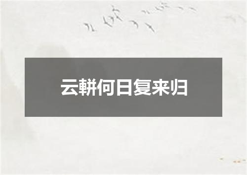 云軿何日复来归
