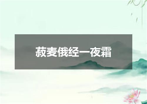 菽麦俄经一夜霜