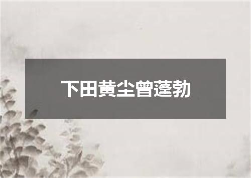 下田黄尘曾蓬勃