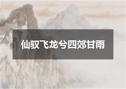 仙驭飞龙兮四郊甘雨