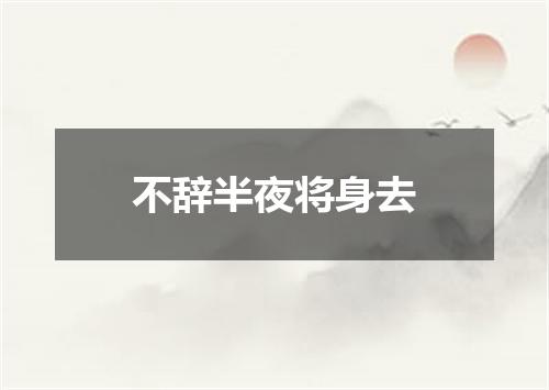 不辞半夜将身去