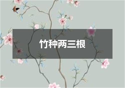 竹种两三根