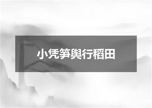 小凭笋舆行稻田