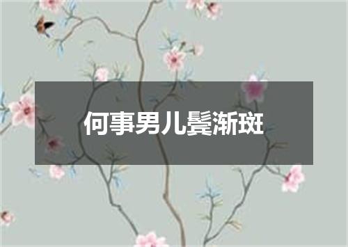 何事男儿鬓渐斑