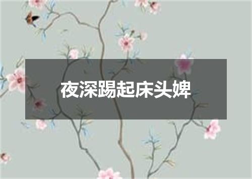 夜深踢起床头婢