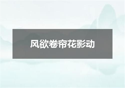 风欲卷帘花影动