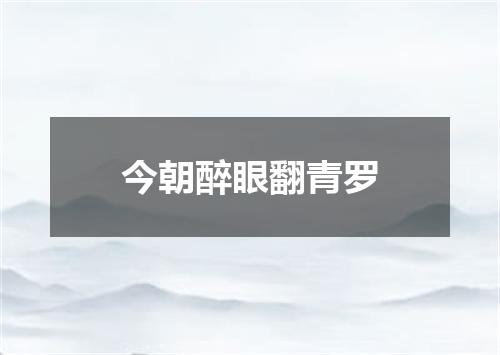 今朝醉眼翻青罗