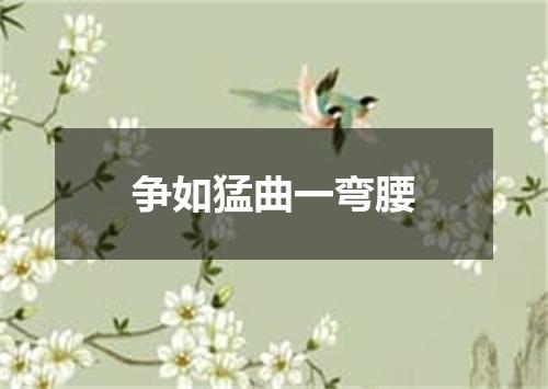 争如猛曲一弯腰