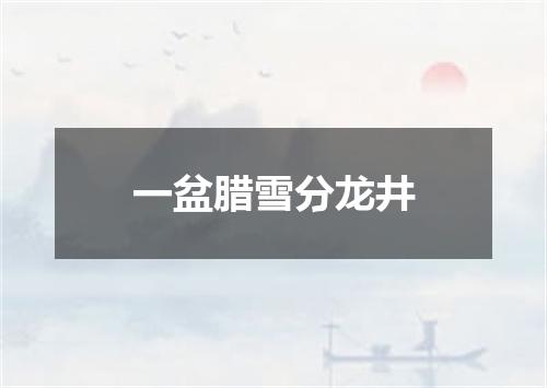 一盆腊雪分龙井