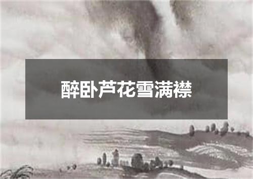 醉卧芦花雪满襟