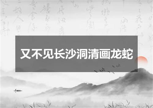 又不见长沙洞清画龙蛇