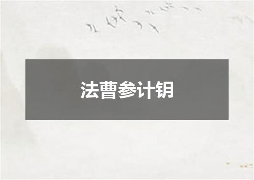 法曹参计钥