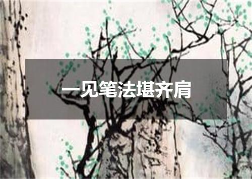 一见笔法堪齐肩