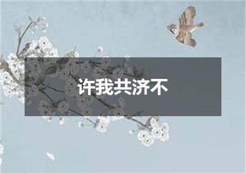 许我共济不