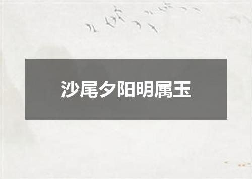 沙尾夕阳明属玉