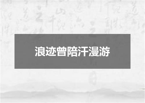 浪迹曾陪汗漫游
