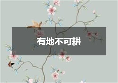 有地不可耕